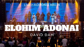 DAVID DAM  ELOHIM ADONAI “This is Kingdom Come” at KOINONIA ABUJA [upl. by Festa948]