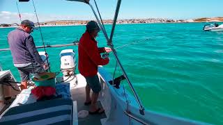 Langebaan Lagoon fishing October 21 on Dream Catcher Charters [upl. by Datnow919]