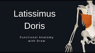 Latissimus Dorsi [upl. by Novihs]