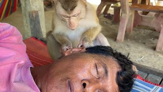 Amazing Grooming Little Zueii Monkey Clean And Grooming Grandpa Exwars So Good [upl. by Elawalo]