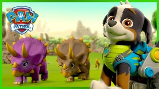 ¡La Patrulla de Cachorros salva a los dinosaurios y mucho más  PAW Patrol Episodio Español Español [upl. by Leroj]