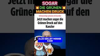 💥EIL💥 GRÜNE machen DRUCK auf SCHOLZ afd ampelaus habeck ampel cdu spd scholz merz neuwahlen [upl. by Anileuqcaj]