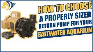 How to Choose a Properly Sized Return Pump for Your Saltwater Aquarium [upl. by Edrei854]