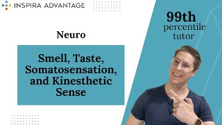 Neuro Smell Taste Somatosensation and Kinesthetic Sense  MCAT Crash Course [upl. by Sande]