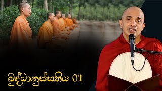 බුද්ධානුස්සතිය 01  VenUdudumbara Kashyapa Thero  Vidarshana  20220606 [upl. by Ahsinod]