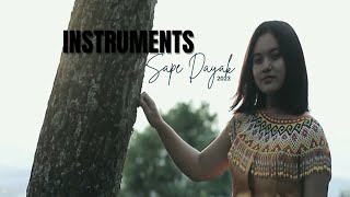 Instrumen Sape Dayak Kalimantan no copyright [upl. by Rothberg]