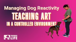 Managing Dog Reactivity  Teaching ART in a Controlled Environment Part 3 [upl. by Ytsirhc]