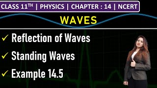 Class 11th Physics  Reflection of Waves  Standing Waves  Example 145  Chapter 14 Waves  NCERT [upl. by Kaile536]