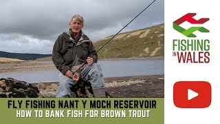 Fly Fishing NantyMoch Reservoir Wales  HOW TO bank fish for WILD BROWN TROUT using Wet Flies [upl. by Atselec]