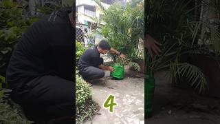 Magical homemade fertilizers  झूम उठेंगे पौधे बस ये जादूई चीजें डाल दो🥛🌿shorts viral gardening [upl. by Aratahc]