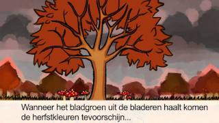 Waarom veranderen bomen in de herfst  Het Klokhuis [upl. by Danczyk]