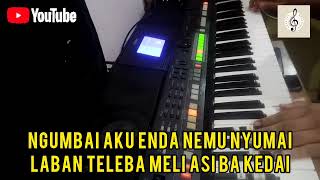 TUSAH BELAKI NGUAI SWAYLIN KARAOKE VERSION [upl. by Nittirb]