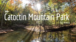 Beautiful Fall colors all around in Catoctin Mountain Park nature hiking fall [upl. by Niwdog]