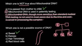 mtDNA and nucleus DNA as forensic evidence [upl. by Eenolem]