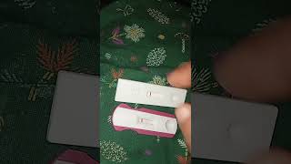 Pregnancy test light faint line pregnancy pregnant love [upl. by Pack]