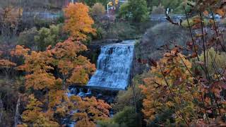 Posha Malcolm is live Splendid Fall Experience at Albion Water Falls [upl. by Panaggio]