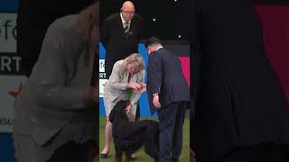 CRUFTS  Gundog Group Winners 2023 [upl. by Doralin]