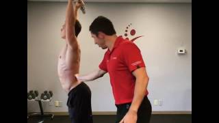 Scapular Stability amp The Overhead Press MoveU [upl. by Cathi]