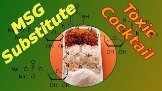 What is Disodium Inosinate and Guanylate  MSG Substitute  Food Label Ingredients [upl. by Yelrihs]