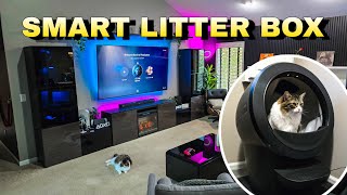 ONE YEAR REVIEW of LitterRobot 4 by Whisker 🐈🎮  SAVES US SO MUCH TIME [upl. by Malynda]