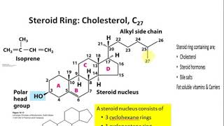 Derived lipids [upl. by Eelir]