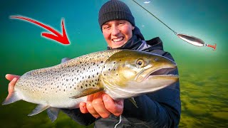 Catches 5 Different Species on Spin Fishing Crazy Fishing in Bergeforsen  Team Galant [upl. by Melessa]