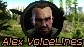 ALL NEW Broken Bear Voice Commands  Alex [upl. by Mavra]