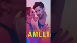 Akcent feat Lidia Buble amp DDY Nunes  Kamelia [upl. by Mariand]