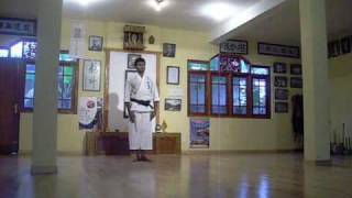 Pinan Kata 15  Okinawa Shorin Ryu Karatedo KYUDOKAN [upl. by Vod771]