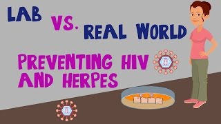 Translational Research Lab Vs Real World HIV Prevention [upl. by Acinoryt]