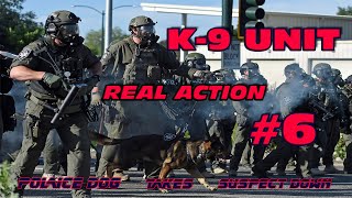 K9 REAL ACTION 6  Police Dog Unit Takes Suspect [upl. by Phillie52]