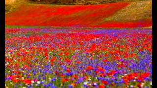 quotAUDIOVISIVO VALNERINA  CASTELLUCCIO DI NORCIAquot di MARCO BARCAROTTI [upl. by Rock346]