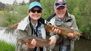 Fly Fishing Colorado at Rainbow Falls Mountain Trout [upl. by Nefen]