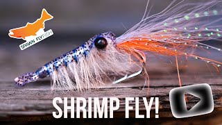 Shrimple Fly Fly Tying Tutorial  Shrimp fly Pattern for Cutthroat and Salmon [upl. by Nady896]