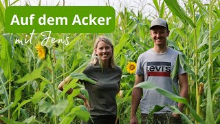 Besuch auf dem Maisfeld🌽von meinem Nachbarn Jens  Kann mein Mais da mithalten👩🏼‍🌾🌿 [upl. by Timothee]