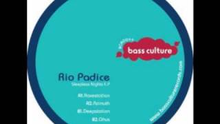 BCR009  Rio Padice  Ravestation [upl. by Tomlinson]