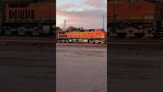 BNSF Aberdeen Switch Yard Lineup bnsftrains railway shortsfeed Subscribe to see more [upl. by Eanil157]