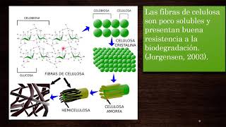 Biodegradación de lignocelulosa [upl. by Elleiand282]