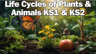 The Life Cycles of Animal amp Plants for KS1 amp KS2 [upl. by Eolande]