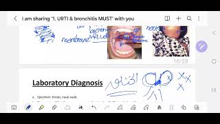 3 Diphtheria amp Moraxella  MUST 201 [upl. by Ingar]