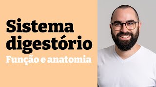 Sistema Digestório Função e anatomia  Aula 19  Módulo 7  Fisiologia Humana  Prof Guilherme [upl. by Nulubez880]