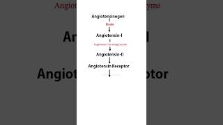 Renin Angiotensin Aldosteron System  RAAS  solutionpharmacy pharmacologyclass [upl. by Munford]