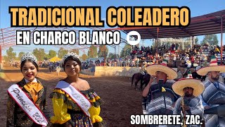 Tradicional Coleadero 🥁 en Charco Blanco Sombrerete Zacatecas Tamborazo Aferrado y Banda el REJ [upl. by Eilojne]