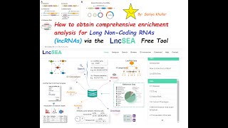 Analysis and Enrichment of Long NonCoding RNA lncRNA for Humans via LncSEAs Comprehensive Tool [upl. by Harv]