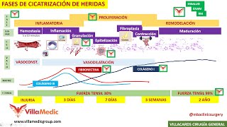 FASES DE LA CICATRIZACIÓN DE HERIDAS BY mbaclinicsurgery [upl. by Latta]