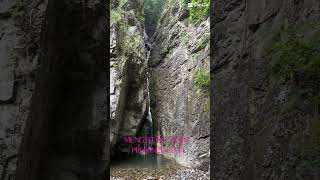 MUNGYEONG SAEJAE PROVINCIAL PARK park hikingtrip mountain atmosphere epo1 reels [upl. by Nahguav]