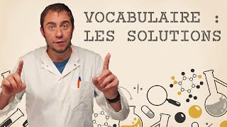 Vocabulaire  les solutions [upl. by Sivia896]