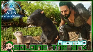 Breeding my Perfect Megatherium Soloing the Ark Ascended 50 [upl. by Pedro]