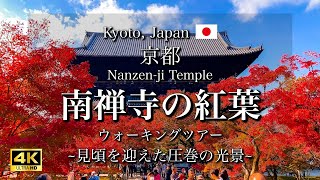 Autumn Leaves at Nanzenji Temple in Kyoto Japan  Full Bloom 4K [upl. by Oel]