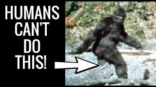 The IMPOSSIBLE Walk of the Patterson Gimlin Bigfoot Film  a Documentary [upl. by Ahsotan260]